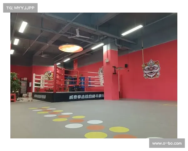 以综合格斗中外对抗赛为载体促进全球文化交流与合作平台建设 以综合格斗中外对抗赛为载体促进全球文化交流与合作平台建设